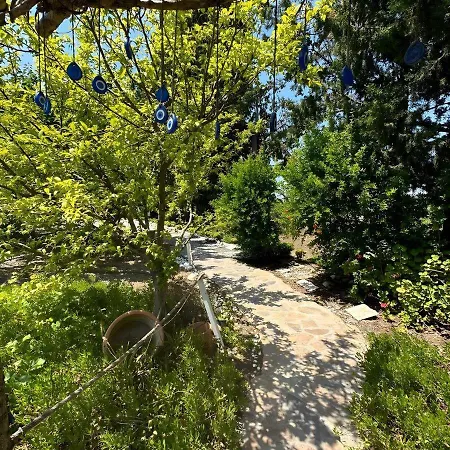 홈스테이 Cabrece *